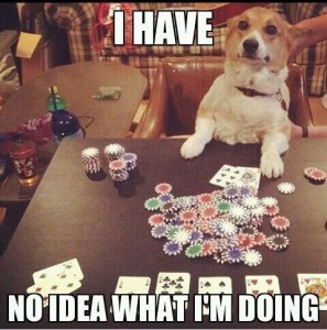 funny-no-idea-doing-dog-playing-poker-pics