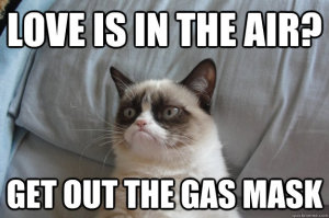 grumpy cat valentines day