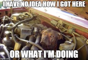 DOG IN ENGINE