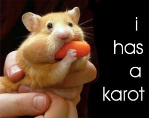 hamster eating carrot