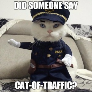 traffic cat emem