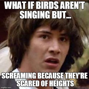 Birds are Screaming