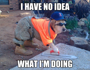 construction-dog